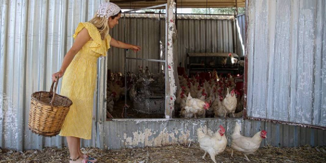 Eşiyle birlikte “Herkese olağanüstü” gelen işi yapıyor! Doğal ve katkısız üretim: Genç yaşta üretiyor, tüm Türkiye’ye satıyorlar 2